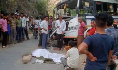 टक्कर के बाद 10 फीट रिवर्स में गई बस: ट्रेलर से आमने-सामने की हुई भिड़ंत, पेड़ से जाकर टकराई; बस चालक की मौत