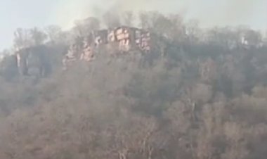 सरिस्का के जंगल में फिर भड़की आग: पहले जहां आग फैली, वहां से 3KM दूर दोबारा उठीं लपटें, जयपुर-दौसा से बुलाई टीमें