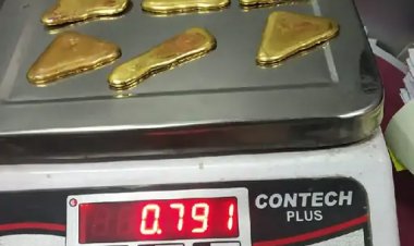 Jaipur Airport Gold Smuggling Case; Sharjah Passenger Caught By Customs Officers प्राइवेट पार्ट में छुपाकर लाया 48 लाख का सोना:एयरपोर्ट पर ही चाय-पानी पिलाकर बाहर निकलवाया, 3 कैप्सूल मिले