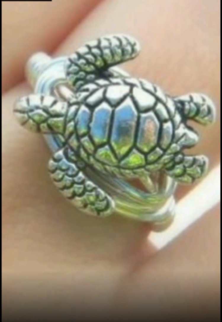 चमत्कारी कछुआ देने के नाम पर ठगी: रुपए दोगुने करने का दिया झांसा; फसल बेचकर व उधार लाकर किसान ने दिए 1.80 लाख रुपए