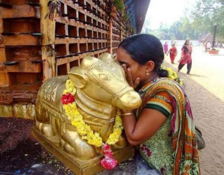 नंदी के कान में मनोकामना बोलने का ये है सही तरीका
