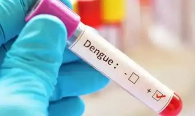 राजस्थान में डेंगू के नए वैरियंट D-2 का खतरा बढ़ा, अब तक एक दर्जन से अधिक मौतें