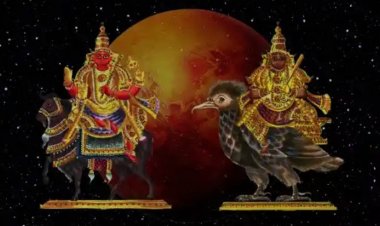 7 मई 2024 का राशिफल